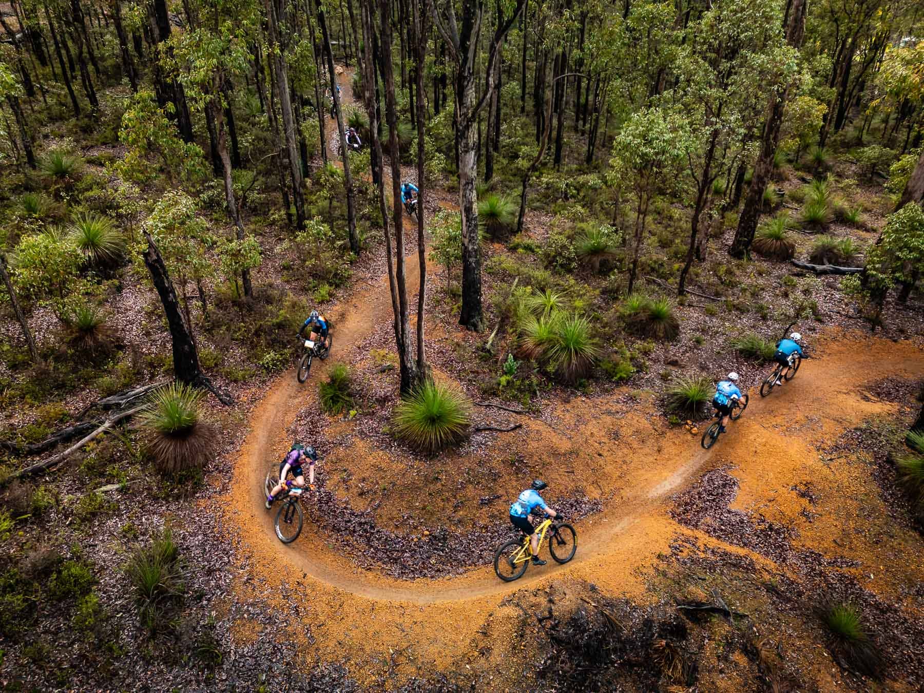 Mountain bikers on a trail in the South West