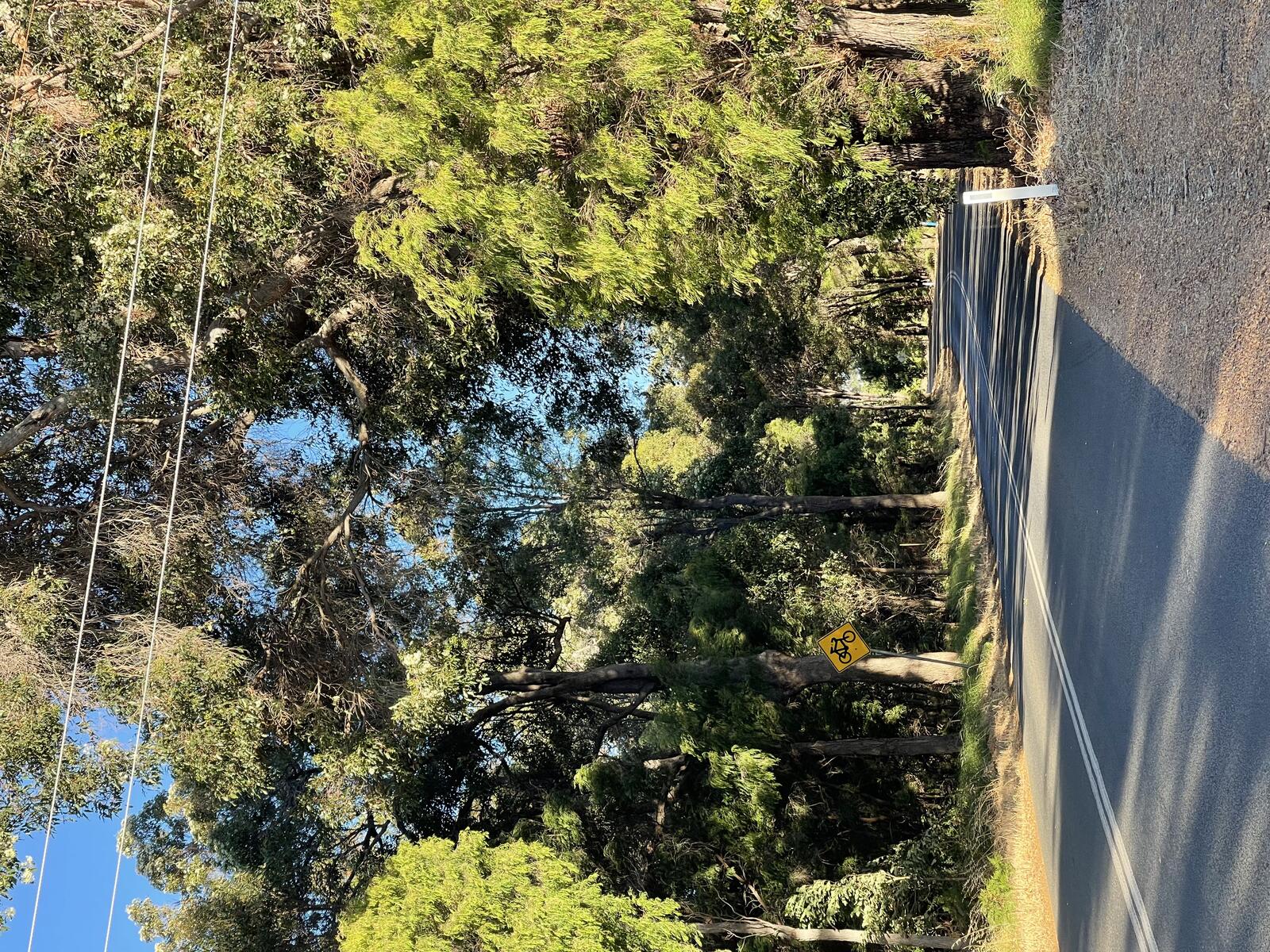 Cycling along Yallingup Siding Road through scenic farmland